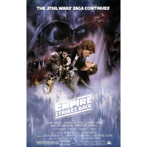 Plakát, Obraz - Star Wars: Epizoda V - Impérium vrací úder, (61 x 91.5 cm)