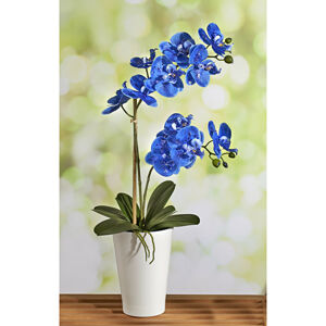 Magnet 3Pagen Modrá orchidej