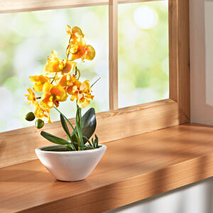Magnet 3Pagen Orchidej "Phalaenopsis" žlutá