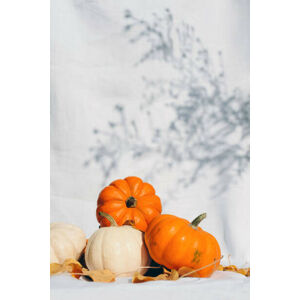 Umělecká fotografie Small pumpkins, Maryna Terletska, (26.7 x 40 cm)