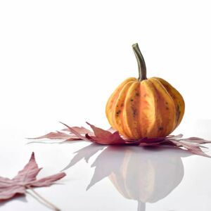 Umělecká fotografie Decorative colorful mini pumpkin, Stellar-Serbia, (40 x 40 cm)
