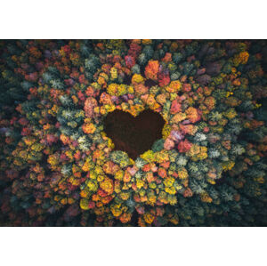 Umělecká fotografie Heart Shape In Autumn Forest, borchee, (40 x 26.7 cm)