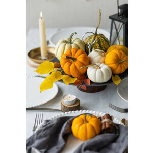 Umělecká fotografie Pumpkin table decor, Artsyslik, (26.7 x 40 cm)