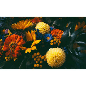 Umělecká fotografie Dreamy magic autumn flowers., Olga Niekrasova, (40 x 24.6 cm)