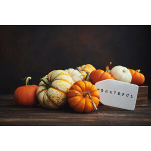 Umělecká fotografie Collection of miniature pumpkins in wooden crate with GRATEFUL message for Fall and Thanksgiving, CatLane, (40 x 26.7 cm)