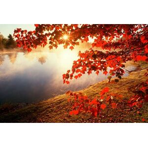 Umělecká fotografie Misty pond with autumn leaves in Connecticut, VisionsofAmerica/Joe Sohm, (40 x 26.7 cm)