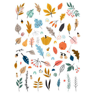Ilustrace Children s illustration with hand drawn leaves, vegetables and autumn harvest. Autumn set. Collection of hand drawn fallen leaves, vegetable