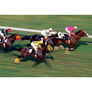 Umělecká fotografie Thoroughbred horse race on turf, Greg Pease, (40 x 26.7 cm)
