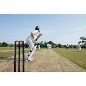 Umělecká fotografie Sunny Cricket Moments, SolStock, (40 x 26.7 cm)