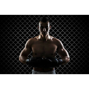 Umělecká fotografie Ultimate fighter, GoodLifeStudio, (40 x 26.7 cm)