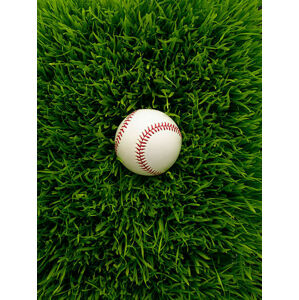 Umělecká fotografie Baseball in grass, Chris Stein, (30 x 40 cm)