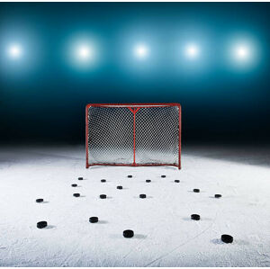 Umělecká fotografie Ice hockey goal surrounded by pucks., Robert Decelis, (40 x 40 cm)