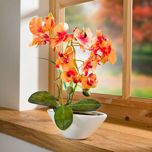 Magnet 3Pagen Orchidej "Phalaenopsis" oranžová