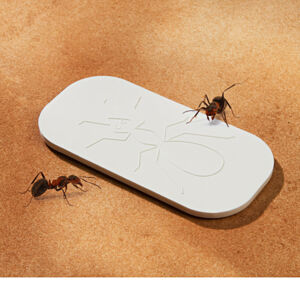 Magnet 3Pagen Deska proti mravencům