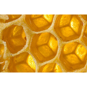 Umělecká fotografie Close up honeycomb, Jonathan Knowles, (40 x 26.7 cm)
