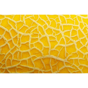 Umělecká fotografie melon texture background close up macro, Алексей Филатов, (40 x 26.7 cm)