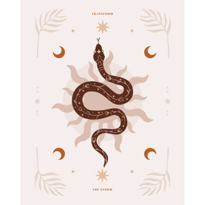 Ilustrace Snake Transform, Beth Cai, (30 x 40 cm)