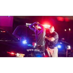 Umělecká fotografie Police officer making an arrest, kali9, (40 x 22.5 cm)