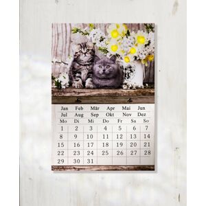 Magnet 3Pagen LED kalendář "Kočičky"