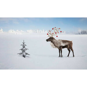 Ilustrace a reindeer with ornaments in his antlers by tree, Per Breiehagen, (40 x 24.6 cm)
