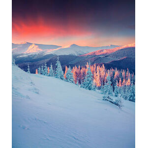 Ilustrace Colorful winter scene in the Carpathian mountains., Andrew_Mayovskyy, (35 x 40 cm)