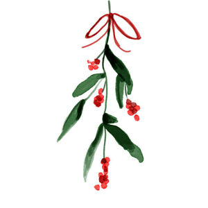 Ilustrace Christmas illustration of  ivy and, mikroman6, (35 x 40 cm)