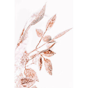 Ilustrace Gold Close-Up Brunch Christmas ornament- Regional, oxygen, (26.7 x 40 cm)