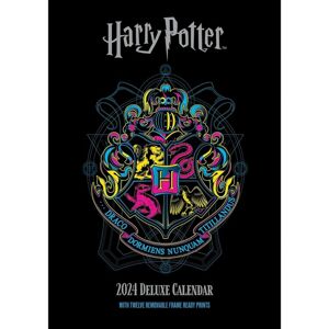 Kalendář 2024 Harry Potter  Deluxe