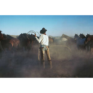 Umělecký tisk Cowboy with lariat rounding up horses, Bread and Butter, (40 x 26.7 cm)