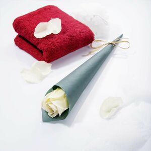 Magnet 3Pagen Mýdlová růže bílá