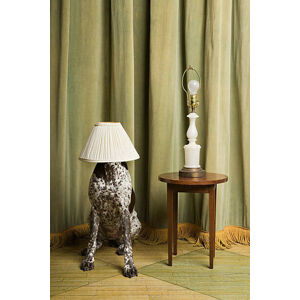 Umělecká fotografie Dog with a lampshade on its head, Image Source, (26.7 x 40 cm)