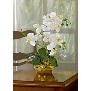 Magnet 3Pagen Orchidej v květináči bílá