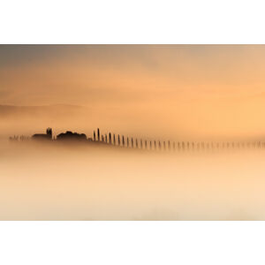 Umělecká fotografie Foggy sunrise, Alessandro Bergamin, (40 x 26.7 cm)