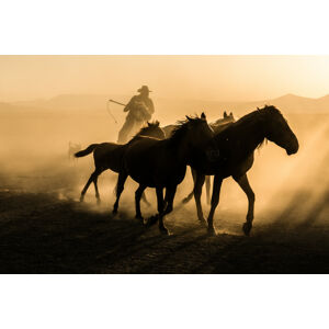 Umělecká fotografie Run between horses, Corinne Spector, (40 x 26.7 cm)