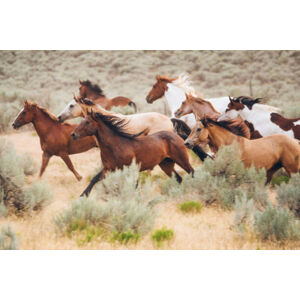 Umělecká fotografie Cowboy Lifestyle in Utah, RichLegg, (40 x 26.7 cm)