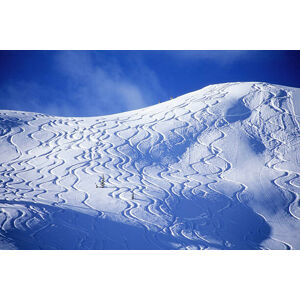 Umělecká fotografie Backcountry ski lines cover a beautiful hill., Heath Korvola, (40 x 26.7 cm)