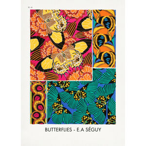 Ilustrace Butterflies 18, Studio Collection, (30 x 40 cm)
