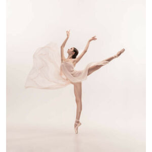 Umělecká fotografie Young graceful tender ballerina on white, master1305, (35 x 40 cm)