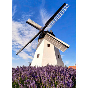 Umělecká fotografie Windmill in Aarsdale, Bornholm island, Denmark, PATSTOCK, (30 x 40 cm)