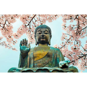 Umělecká fotografie Buddha statue with cherry blossom in, Sanga Park, (40 x 26.7 cm)