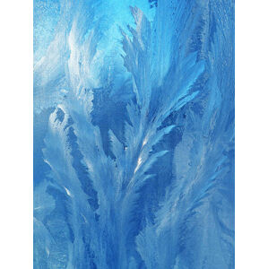 Ilustrace frost patterns on glass, Enskanto, (30 x 40 cm)