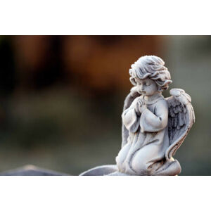 Umělecká fotografie Angel statue in winter.  Cemetery., Pascal Deloche / Godong, (40 x 26.7 cm)