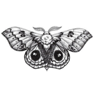 Umělecká fotografie Beautiful Butterfly tattoo. Antherina suraka. Madagascar, Natalypaint, (40 x 26.7 cm)