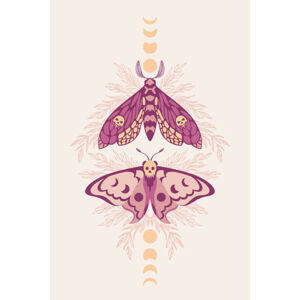 Umělecká fotografie Vector pattern with night moths and, Iryna Shorokhova, (26.7 x 40 cm)