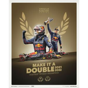 Umělecký tisk Max Verstappen - Make It A Double - 2022 F1® World Drivers' Champion, (40 x 50 cm)
