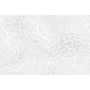 Umělecká fotografie White Silver Bubble Background Abstract Snake, Anna Bliokh, (40 x 26.7 cm)