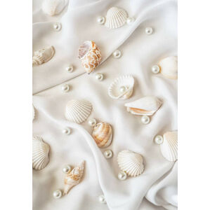 Umělecká fotografie Seashells and pearls on white silk, Natalia Ganelin, (26.7 x 40 cm)