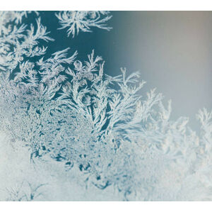 Umělecká fotografie Magical frost ornaments on the window., Olga Zakharova, (40 x 35 cm)