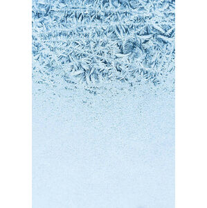 Umělecká fotografie Frost on the window, Poike, (26.7 x 40 cm)