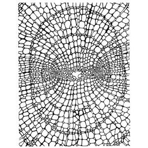 Ilustrace Organic Dot Pattern, CSA Images, (30 x 40 cm)